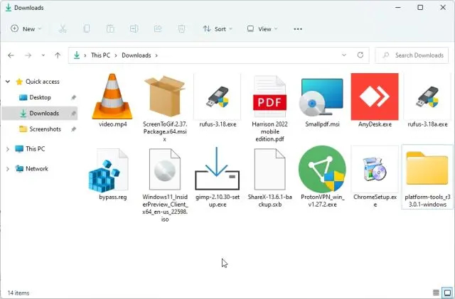 انواع فایل در  ویندوز 11 لپ تاپ قابل مشاهده خواهد بود.